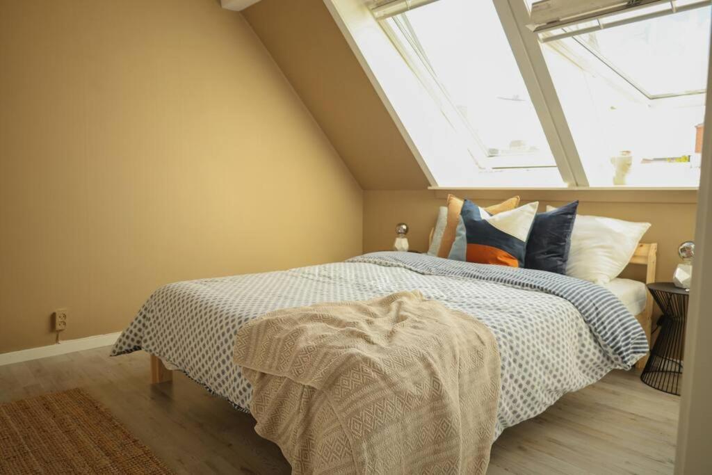 Modern And Cozy Oslo
